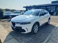 Alfa Romeo Tonale 1.6 diesel 130 CV TCT6 Super Wit - thumbnail 1
