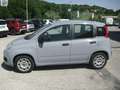 Fiat Panda 1.2 Easy easypower Gpl 69cv my19, PERFETTE CONDIZ. Grigio - thumbnail 2