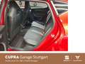 CUPRA Leon 2.0 TSI VZ DSG 221 kW *Winterpaket* *Kamera Rot - thumbnail 7