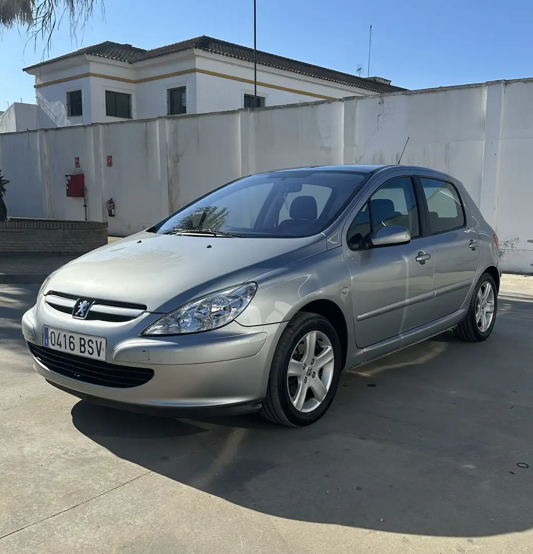 Peugeot 307 2.0HDI XS 110 - 1