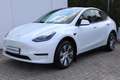 Tesla Model Y Long Range Dual AWD Weiß - thumbnail 1