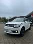 Suzuki Ignis Comfort Weiß - thumbnail 2