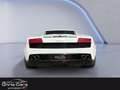 Lamborghini Gallardo LP 560-4 E-Gear V10 5.2L Weiß - thumbnail 4