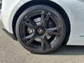 Lamborghini Gallardo LP 560-4 E-Gear V10 5.2L Weiß - thumbnail 16