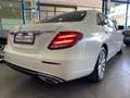Mercedes-Benz E 220 220d 9G-Tronic 194 Blanco - thumbnail 4