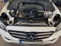 Mercedes-Benz E 220 220d 9G-Tronic 194 Blanco - thumbnail 21