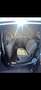 Ford Grand C-Max 1.5 TDCi Start-Stopp-System Business Edition - thumbnail 18