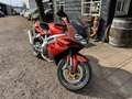 Aprilia SL 1000 Falco - thumbnail 2