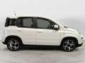 Fiat Panda Panda 1.0 FireFly S&S Hybrid Sport Wit - thumbnail 16