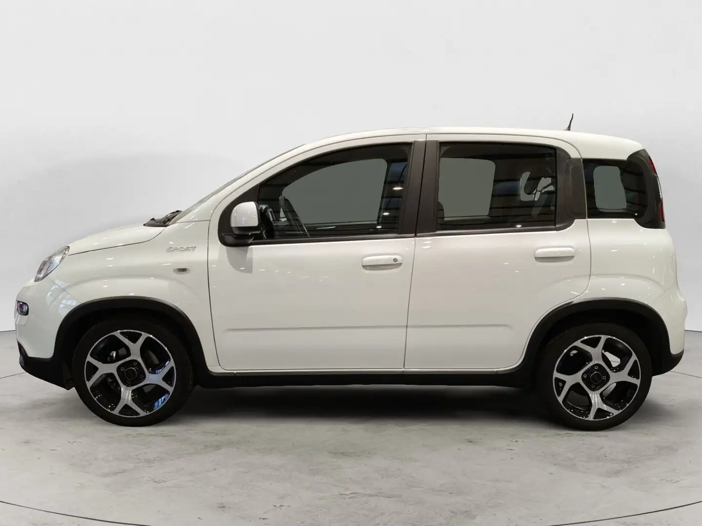 Fiat Panda Panda 1.0 FireFly S&S Hybrid Sport Wit - 2
