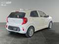 Kia Picanto 1.2 Vision *CARPLAY* Weiß - thumbnail 6
