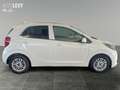 Kia Picanto 1.2 Vision *CARPLAY* Weiß - thumbnail 7