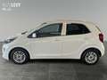 Kia Picanto 1.2 Vision *CARPLAY* Weiß - thumbnail 3