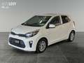 Kia Picanto 1.2 Vision *CARPLAY* Alb - thumbnail 2