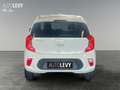 Kia Picanto 1.2 Vision *CARPLAY* Alb - thumbnail 5
