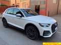 Audi Q5 40 2.0 tdi mhev 12V Business Advanced quattro s-tronic Bianco - thumbnail 3