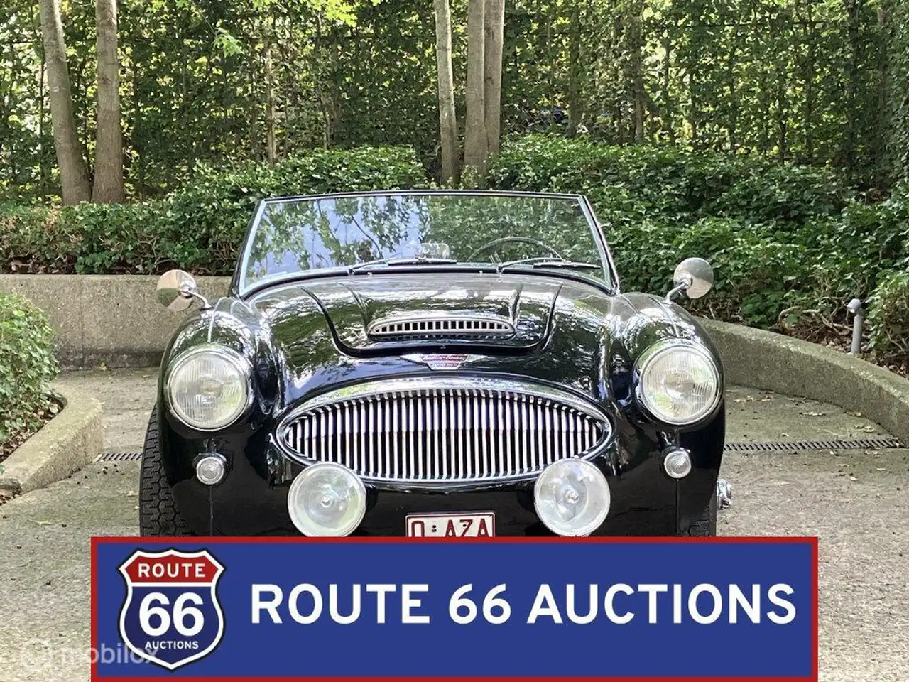 Austin Healey