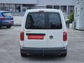 Volkswagen Caddy Caddy Maxi Kastenwagen 2,0 TDI 1-Hand AHK Picke... Weiß - thumbnail 11