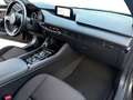 Mazda 3 Lim. 5-trg. Selection  NUR 9.250 Km Grau - thumbnail 17