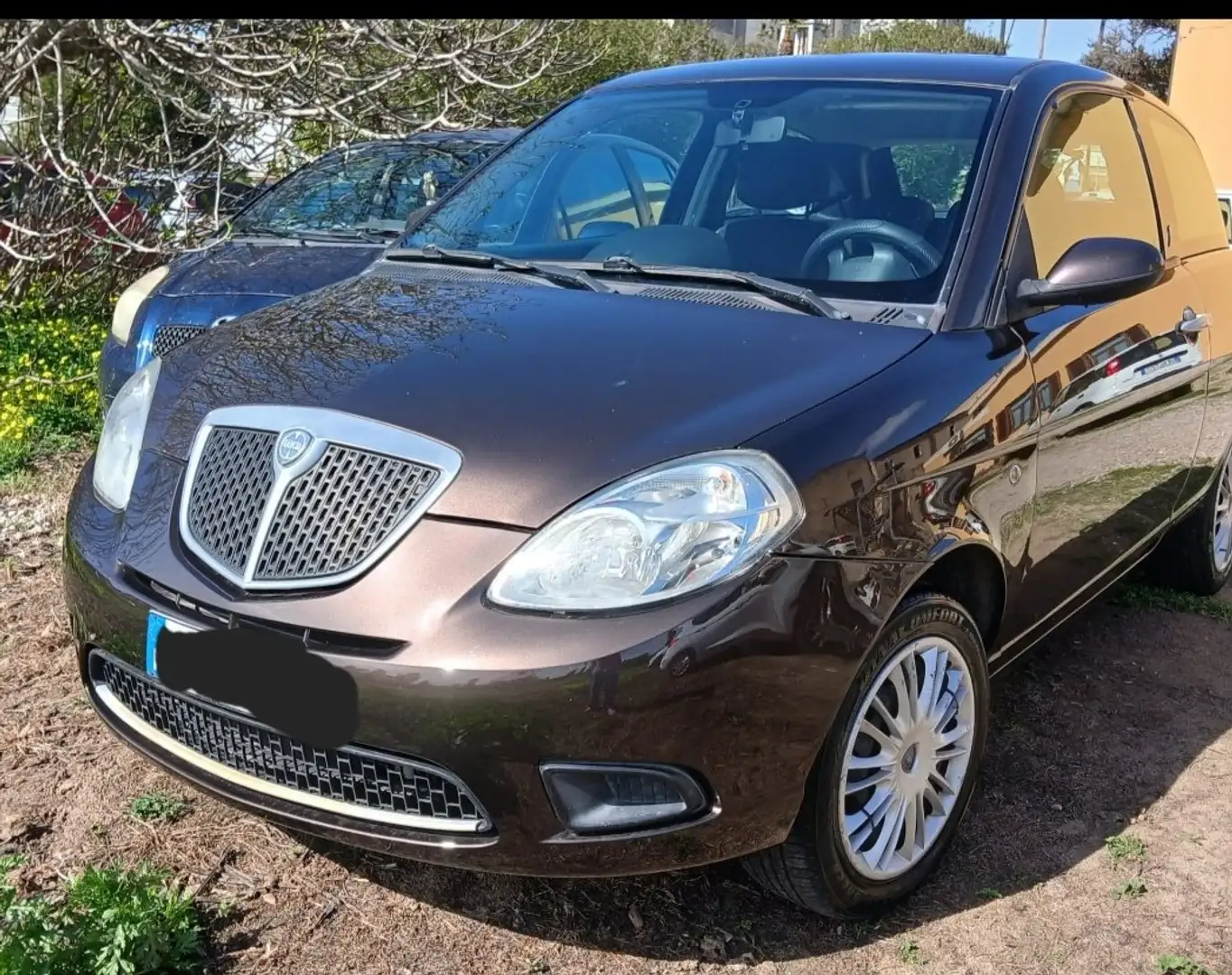 Lancia Ypsilon Ypsilon 1.3 mjt 16v New Oro (oro) Marrone - 1
