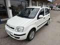 Fiat Panda 1.2 Dynamic Natural Power FUNZIONA PERFETTAMENTE Blanc - thumbnail 1