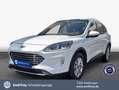 Ford Kuga 2.5 Duratec PHEV TITANIUM *AHK/Pano* Weiß - thumbnail 1