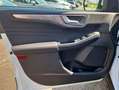 Ford Kuga 2.5 Duratec PHEV TITANIUM *AHK/Pano* Weiß - thumbnail 13