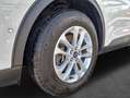 Ford Kuga 2.5 Duratec PHEV TITANIUM *AHK/Pano* Weiß - thumbnail 5
