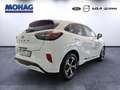 Ford Puma 1.0 EcoBoost Mild Hybrid ST-Line, Ganzjahresreifen Weiß - thumbnail 3