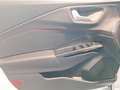 Ford Puma 1.0 EcoBoost Mild Hybrid ST-Line, Ganzjahresreifen Weiß - thumbnail 14