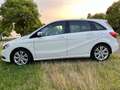 Mercedes-Benz B 180 Classe B - T246 cdi Premium Bianco - thumbnail 6
