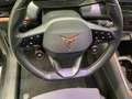 CUPRA Born 360 ALLWETTER LM19 PRIVACY SITZHZ Grau - thumbnail 9