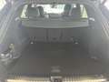 Audi SQ5 3.0 TFSI PANO+AHK+B&O+OLED+LUFT+STANDHZG Grau - thumbnail 6