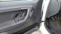 Skoda Roomster Family, " Scheckheft" Blanc - thumbnail 10