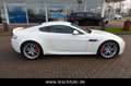 Aston Martin V8 Weiß - thumbnail 6
