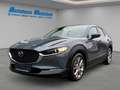 Mazda CX-30 Selection 2WD 2.0 SKYACTIV-G M Hybrid EU6d HUD Nav Grigio - thumbnail 1