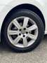 Volkswagen Polo Highline/PDC/Schiebedach/SHZ/ Ab 162 Euro im Monat Weiß - thumbnail 11