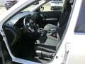 Nissan X-Trail X-TRAIL 1,3 DIG-T N-Connecta Aut. Bianco - thumbnail 5