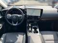 Lexus NX 450h+ E-Four Executive Aut. // LEXUS KEUSCH Nero - thumbnail 10
