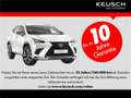Lexus NX 450h+ E-Four Executive Aut. // LEXUS KEUSCH Zwart - thumbnail 17