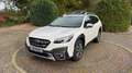 Subaru OUTBACK *OKTOBER SONDERPREIS* Outback 2024 Platinum Weiß - thumbnail 1