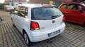 Volkswagen Polo 5p 1.4 tdi Comfortline CL dpf - thumbnail 11