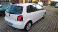 Volkswagen Polo 5p 1.4 tdi Comfortline CL dpf - thumbnail 3