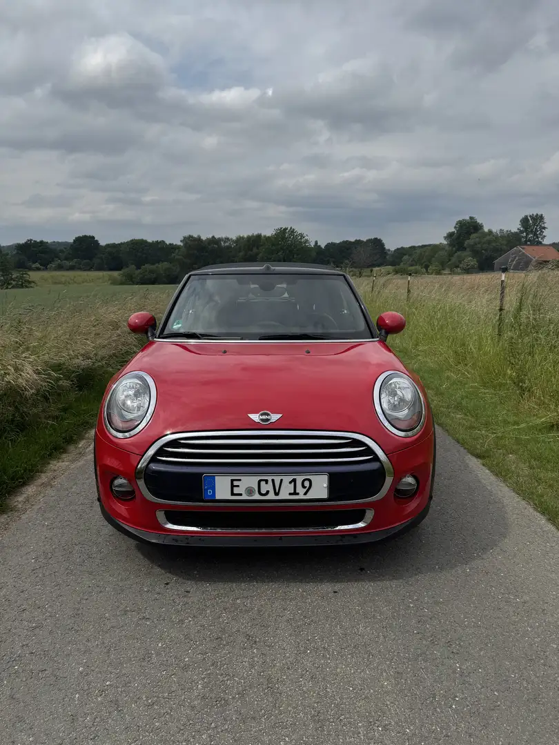 MINI Cooper Cabrio Rot - 1