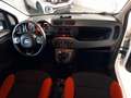 Fiat Panda Panda VAN 0.9 TwinAir Turbo Natural Power Pop 2 p Blanc - thumbnail 11