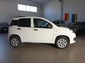 Fiat Panda Panda VAN 0.9 TwinAir Turbo Natural Power Pop 2 p Blanc - thumbnail 3