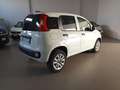 Fiat Panda Panda VAN 0.9 TwinAir Turbo Natural Power Pop 2 p Blanc - thumbnail 6