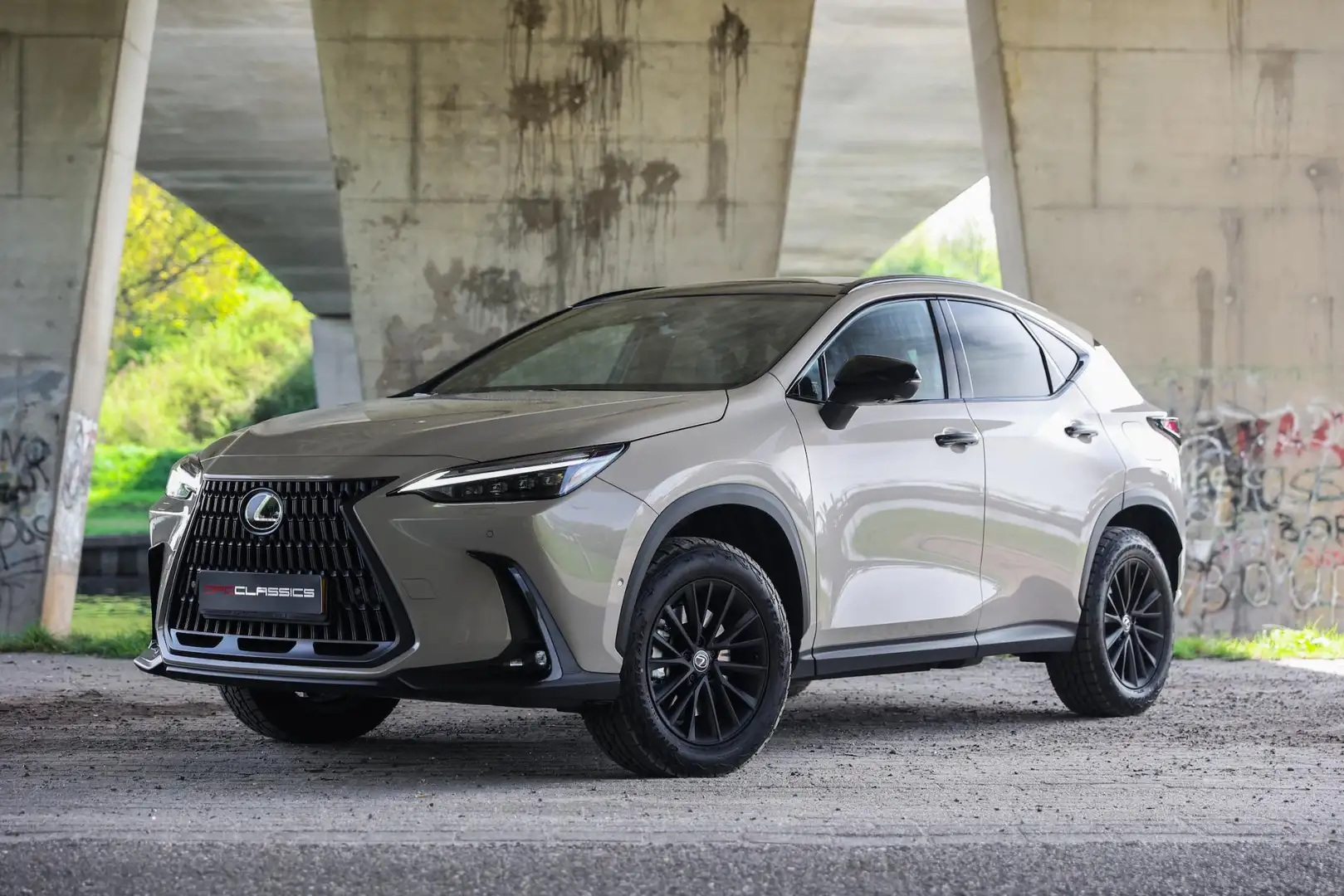 Lexus NX 450h+ AWD Overtrail E-Four Beige - 1