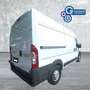 Fiat Ducato Ducato 35 3.0 Natural Power PM-TM Furgone Maxi Wit - thumbnail 11