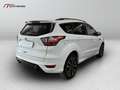 Ford Kuga 1.5 ecoblue ST-Line X 2wd 120cv Wit - thumbnail 6